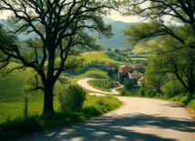 discover exciting mystery road trips for your next adventure 1745312656