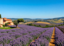 discover southern france six must visit destinations 1745448627
