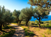 discover the via jonica a journey through puglia for everyone 1747509323