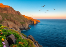 discovering the charm of anacapa island 1748364983