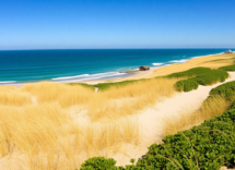 escape the city seven perfect day trips from new york 1746279508