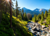 discover the hidden beauty of north cascades national park 1748994099