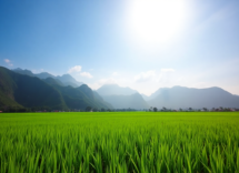 discovering the best places to visit in vietnam 1749001404