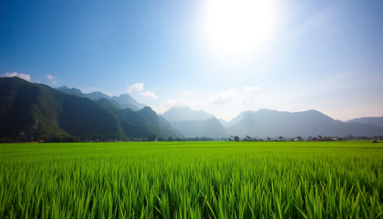 discovering the best places to visit in vietnam 1749001404