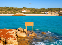 torre guaceto achieves global recognition for marine conservation efforts 1749870260