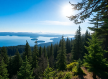 unveiling seattles breathtaking day trip destinations python 1756166472