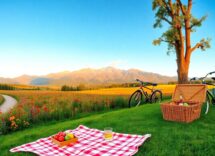 the ultimate guide to planning an unforgettable day trip python 1758144434