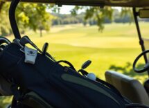 custom golf bags tailored to every golfers unique style 1764490342