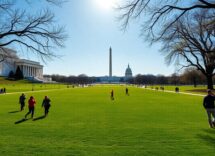 unmissable experiences to discover in washington dc 1770449041